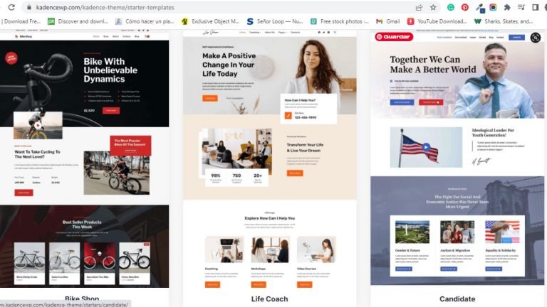 pagina web profesional en Panamá